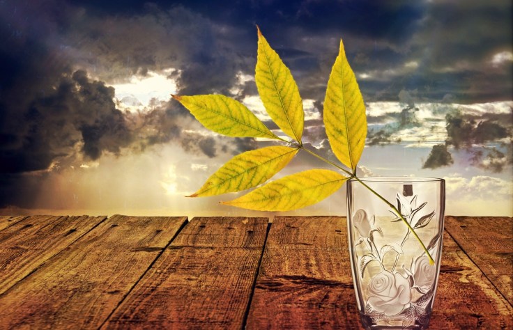 still-life-1139582_1280